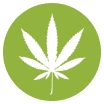 weedsmart_image_icon2-greenleaf