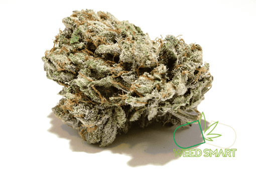 weedsmart_image_Purple Candy strain