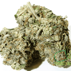 weedsmart_image_Gold Coast Pink Kush strain