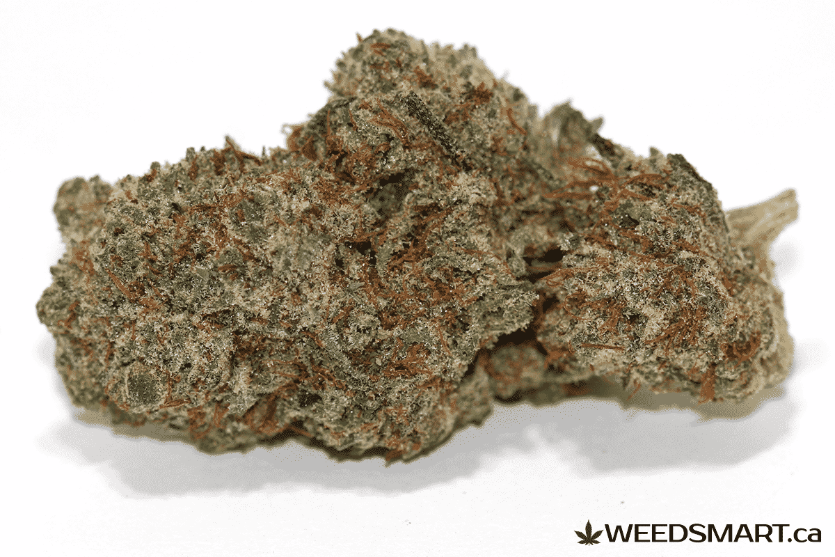Green Crack