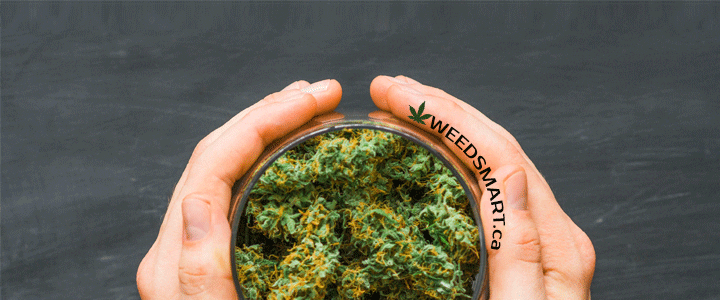 Weedsmart.Net