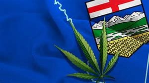 weedsmart_image_"Pot Gold Rush" takes over Canada