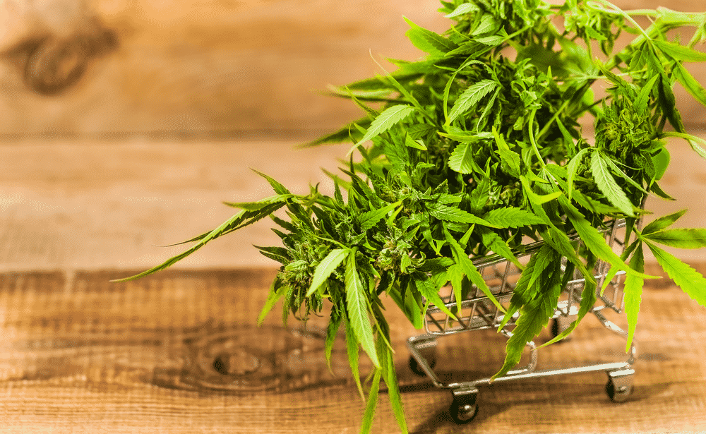 weedsmart_image_buying weed online canada