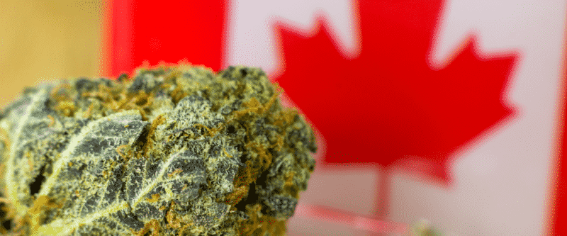 Canadian Weed Laws