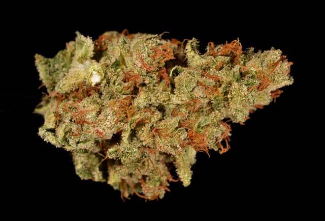 afghanmango-weedsmart
