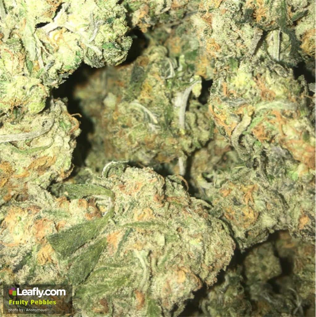 fruitypebbles-weedsmart