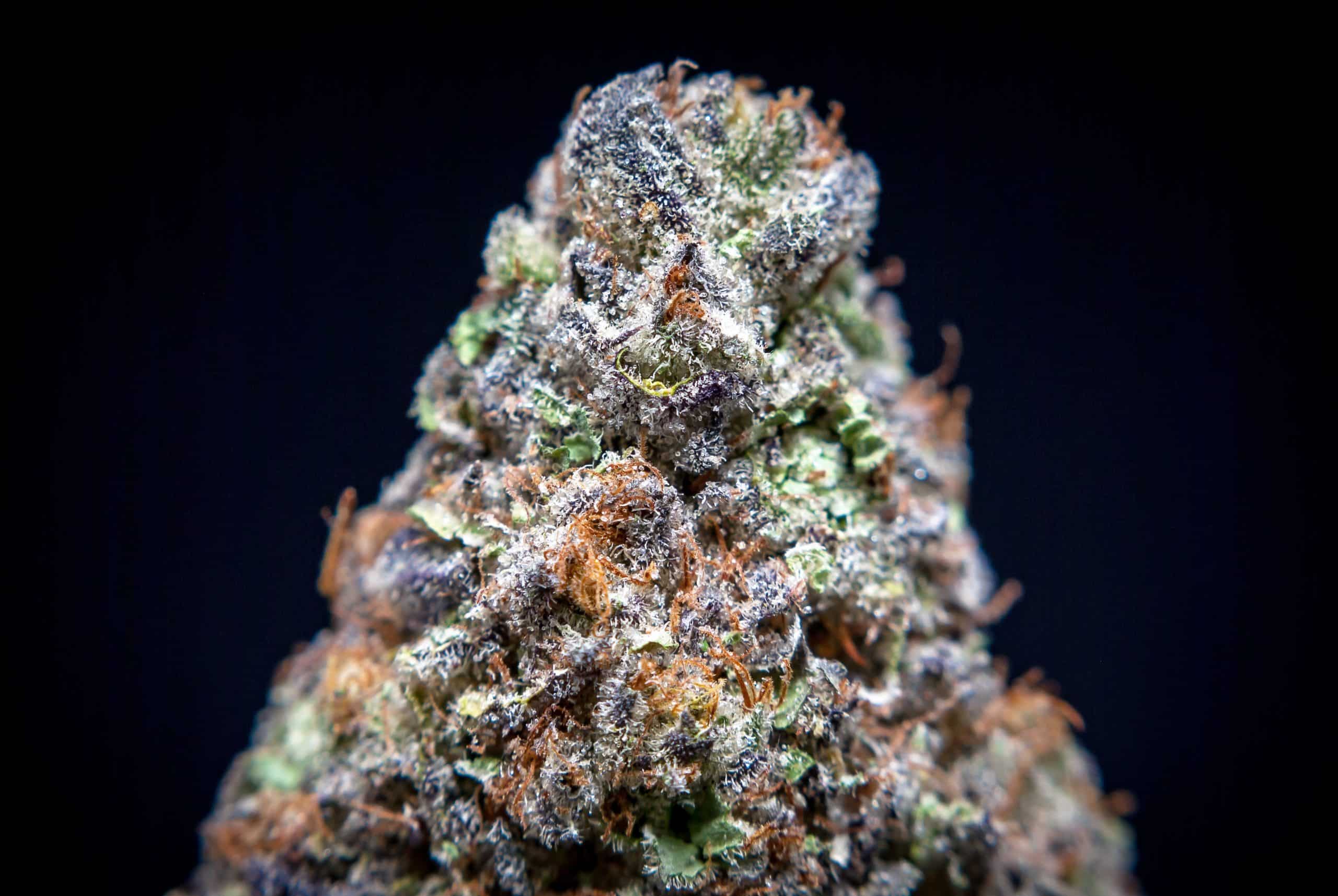weedsmart_image_weedsmart
