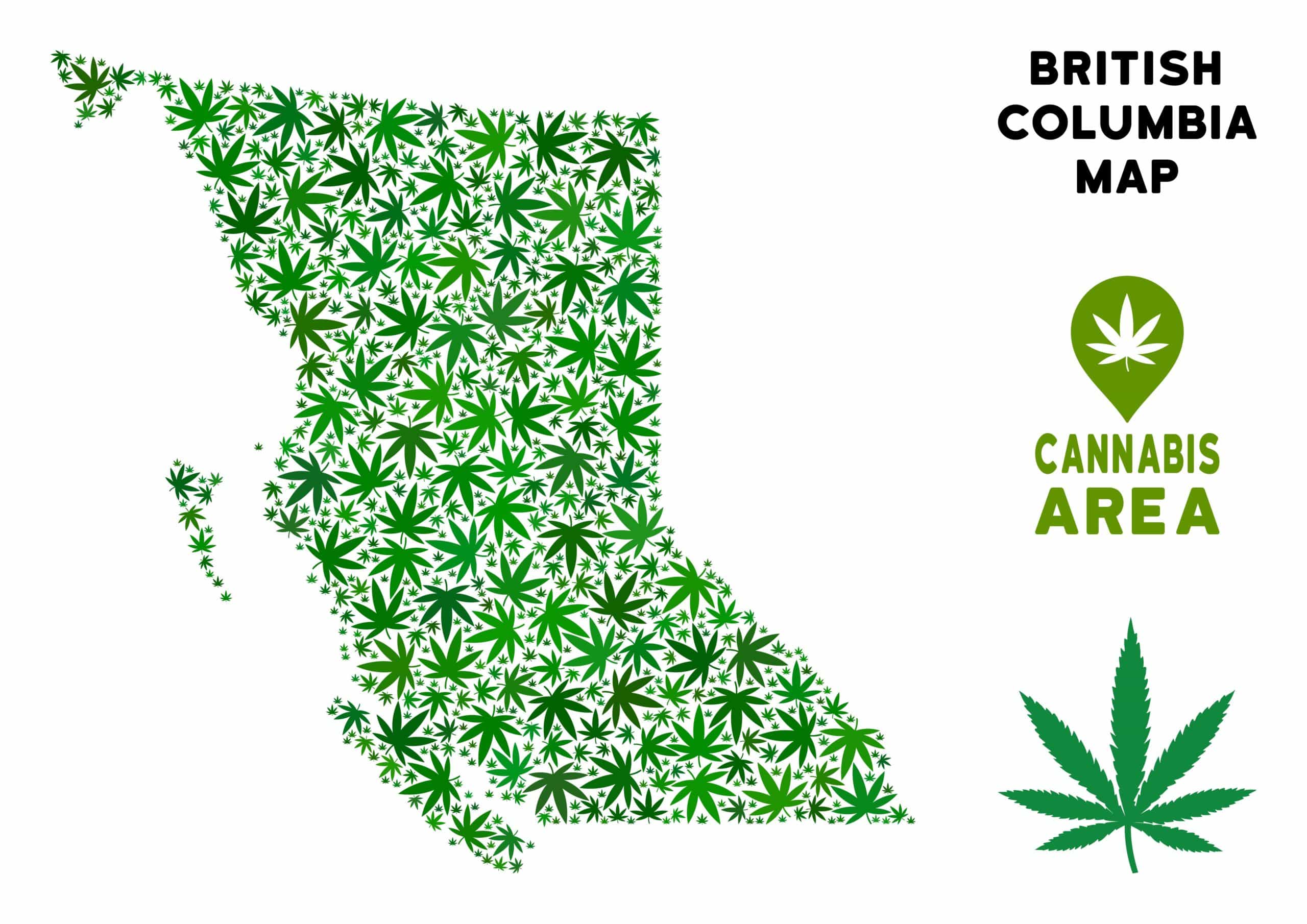 weedsmart_image_BC Weed weedsmart