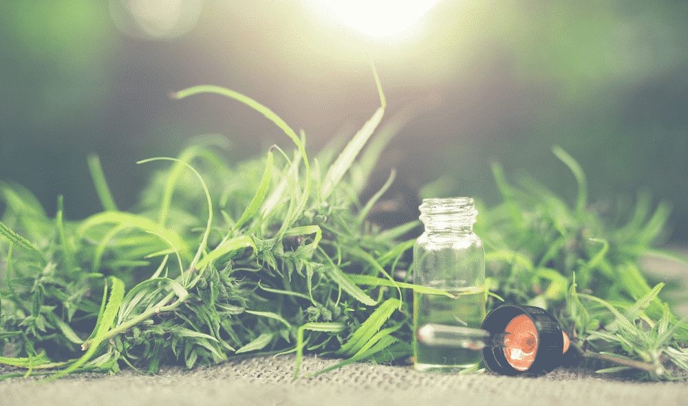 weedsmart_image_uses and benefits of cbd oil