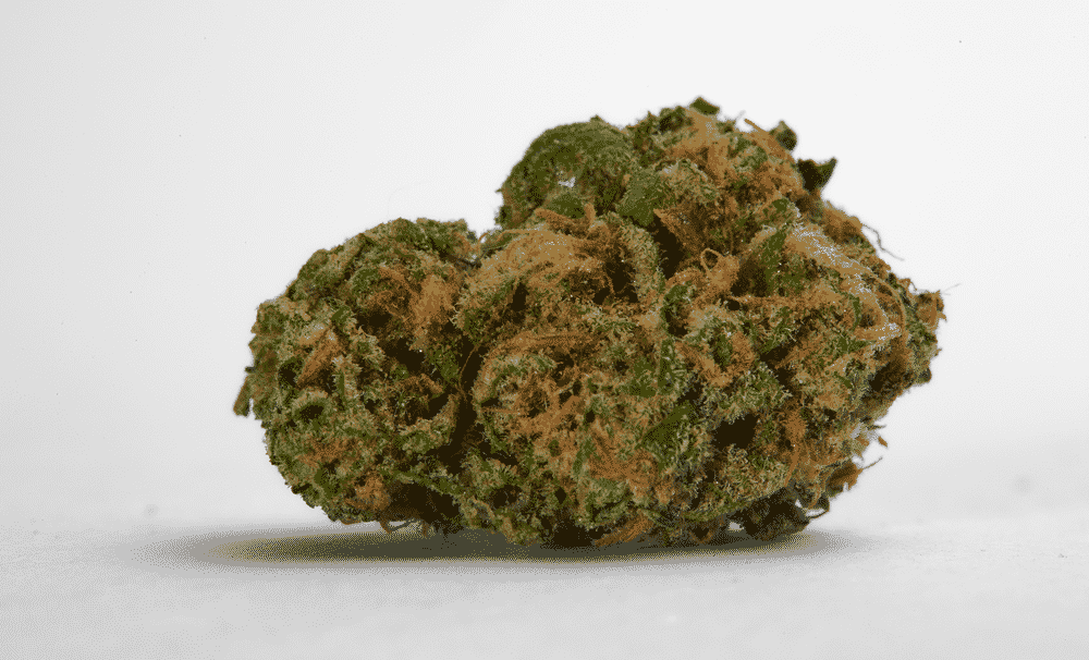 weedsmart_image_blue dream strain review