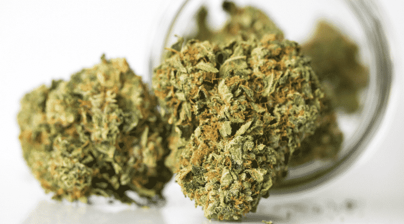weedsmart_image_Bio diesel strain