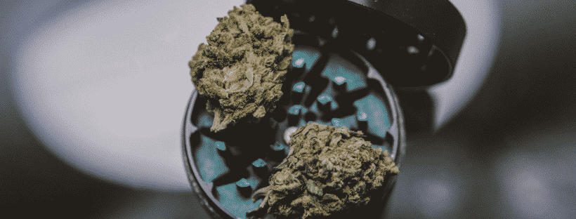 Best Weed for Athletes