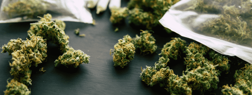 Best Weed to Try