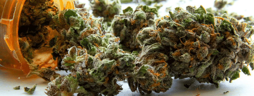 Green Crack Strain for Athletes