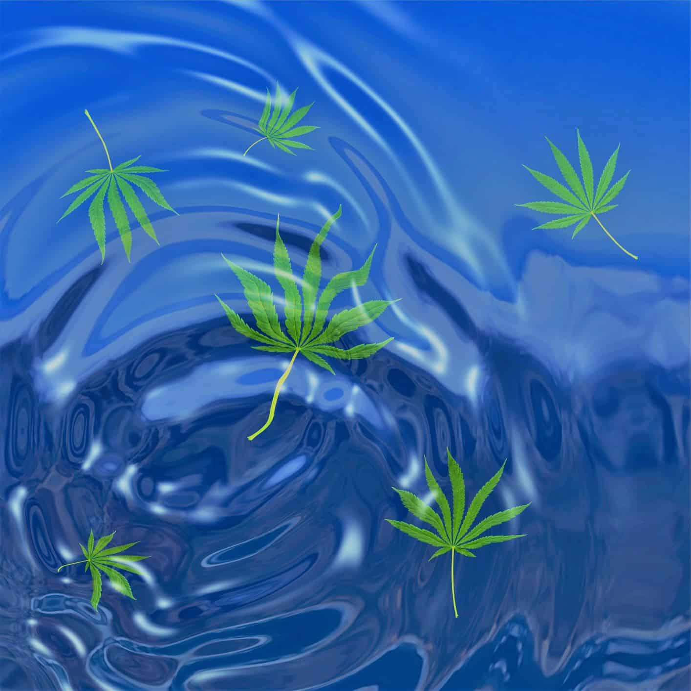 weedsmart_image_cbd water weedsmart