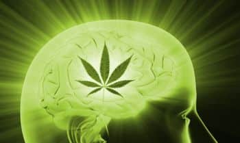 weedsmart_image_marijuana-migraine weedsmart