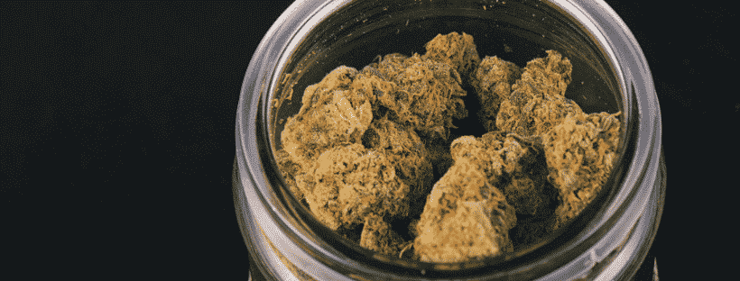 Big Bang Strain