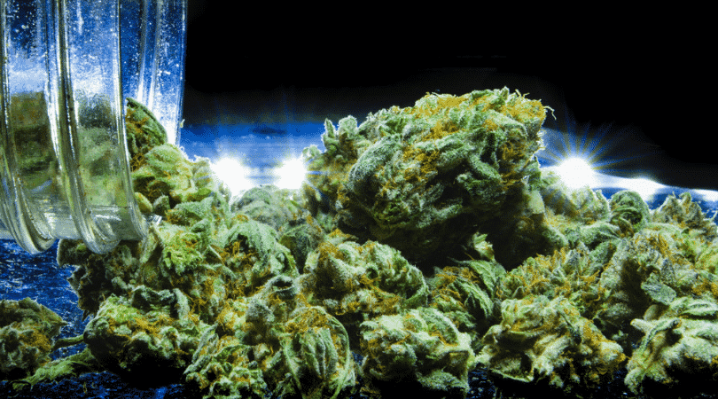 weedsmart_image_Indica Strains for PTSD