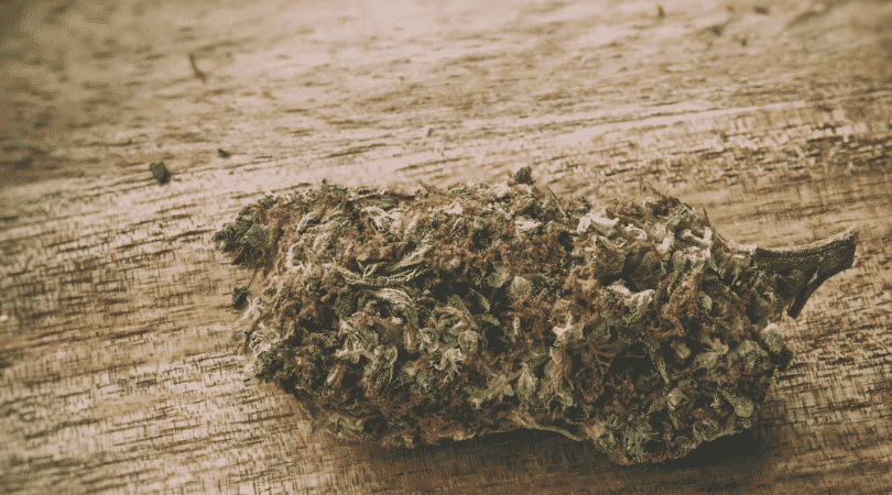 weedsmart_image_Super Lemon Haze Review