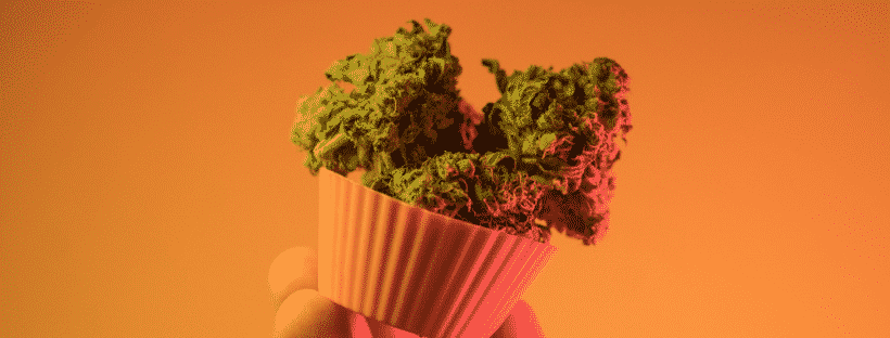 Violator Kush for PTSD