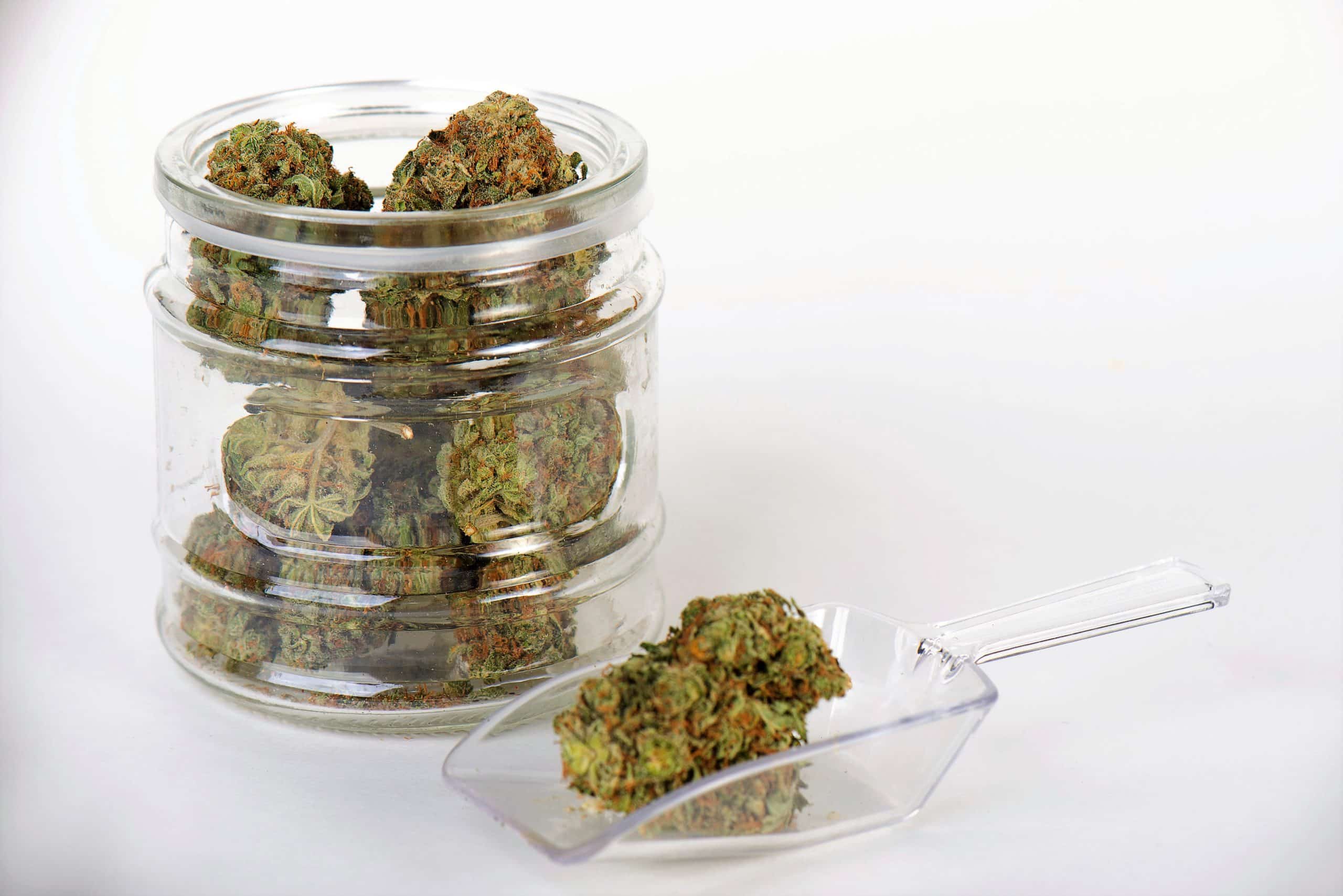 weedsmart_image_best weed strains weedsmart