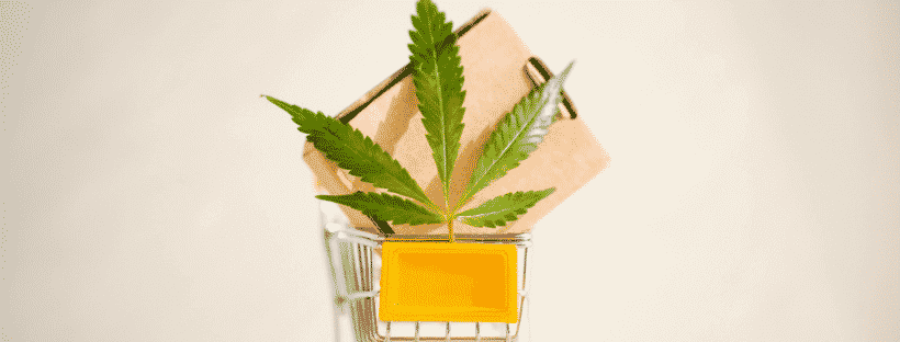 How to Buy Violator Kush