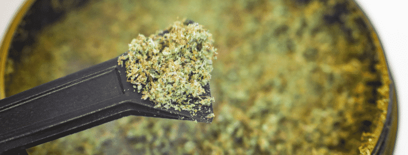 How to Get Kief
