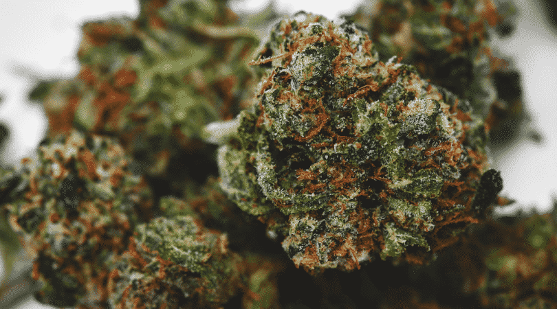 weedsmart_image_Angel OG Strain Review