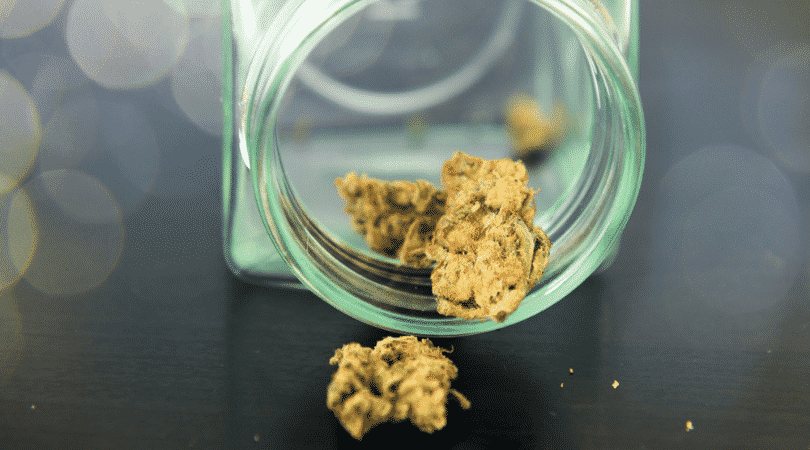 weedsmart_image_Ghost Train Haze Review
