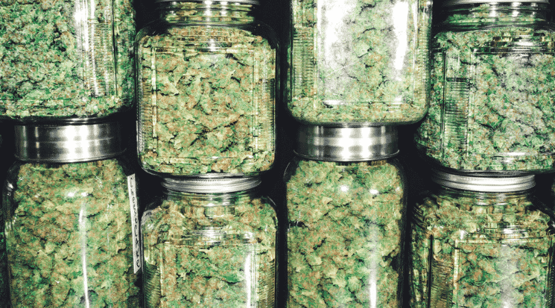 weedsmart_image_How to Keep Weed Fresh
