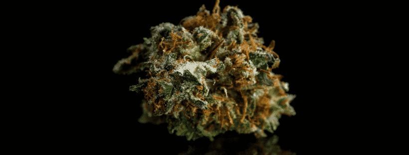 Medical Benefits of Cannabis