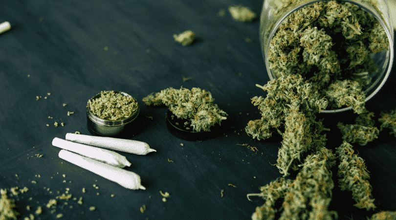 weedsmart_image_What is Cannabis and its use and sales