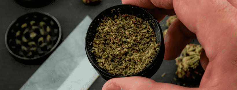Forbidden Fruit Strain