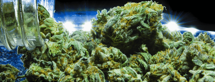 Chemdawg
