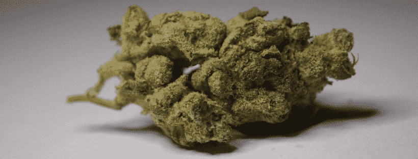 Gorilla Glue 4