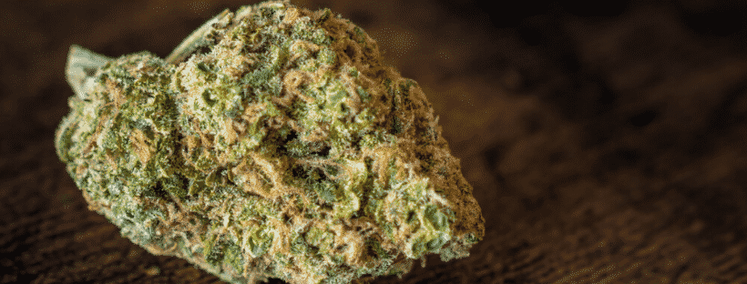 Examples of Cannabis Indica Strains