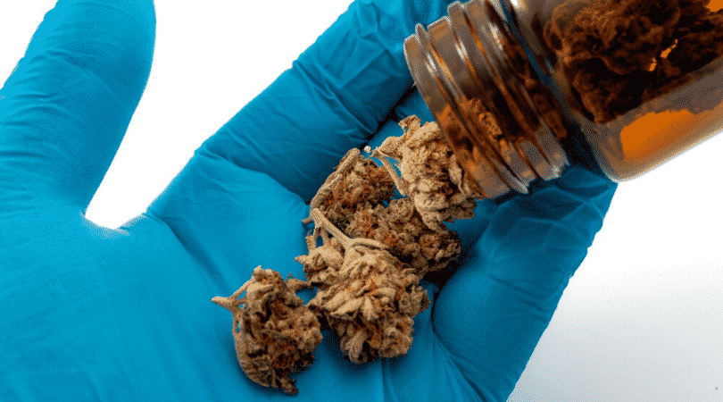 weedsmart_image_Best Marijuana for Pain Relief