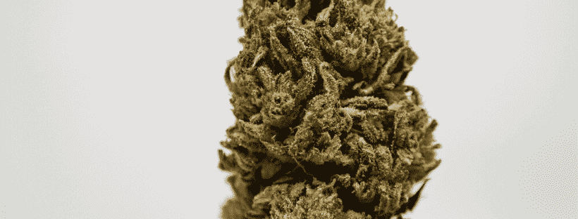 Cannatonic