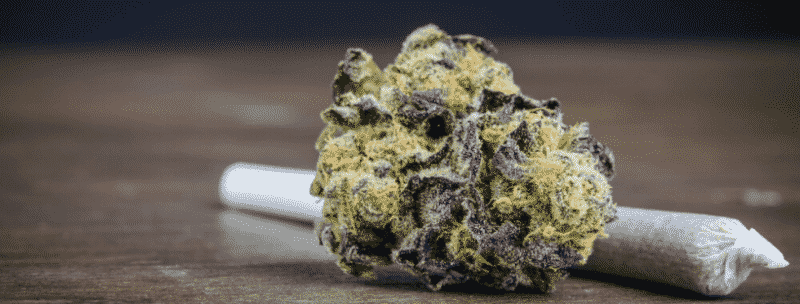 Indica