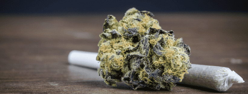 Indica