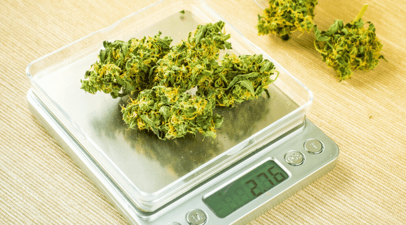 weedsmart_image_Weed Measurements