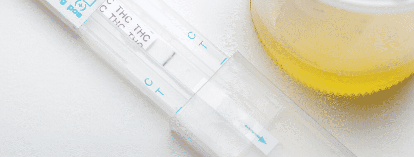 CBD Does Not Show Up on Drug Tests