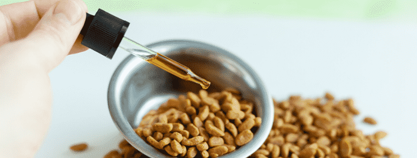 Methods Of Giving CBD To Pets