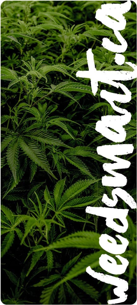 weedsmart-new-customers