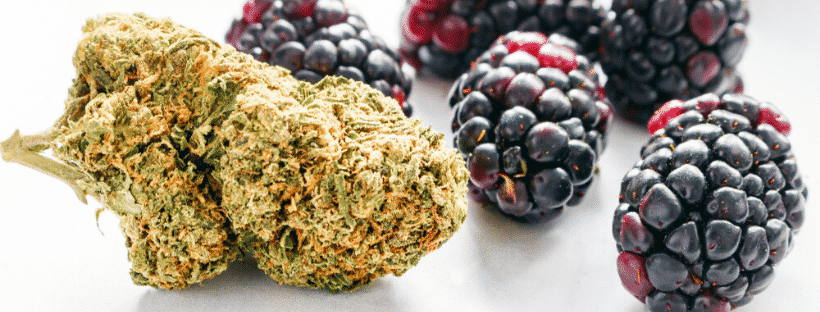 Blackberry Kush