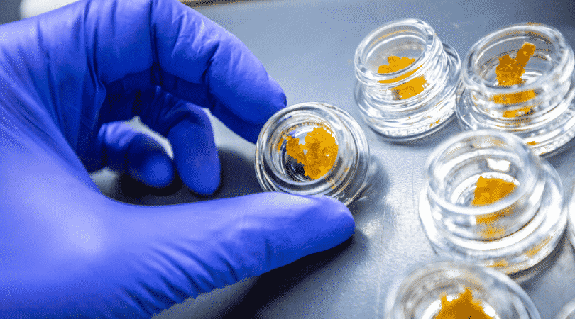 weedsmart_image_Can Marijuana Concentrates Go Bad