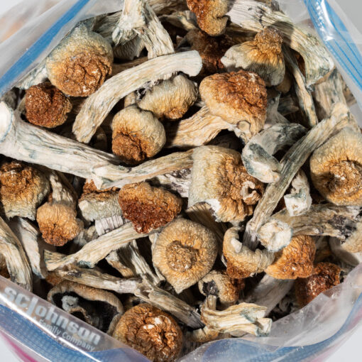 weedsmart_image_Golden Teacher