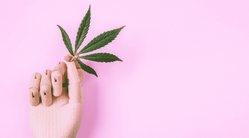 weedsmart_image_10 Things That Happen in the Brain and Body While You’re High on Weed
