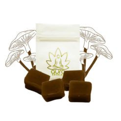 weedsmart_image_Aura Artisan Psilocybe Caramels – Cocoa Chocolatier 2g-4g