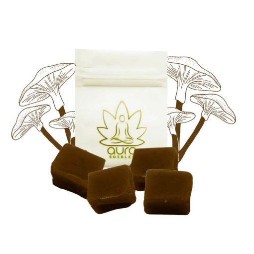 weedsmart_image_Aura Artisan Psilocybe Caramels – Cocoa Chocolatier 2g-4g